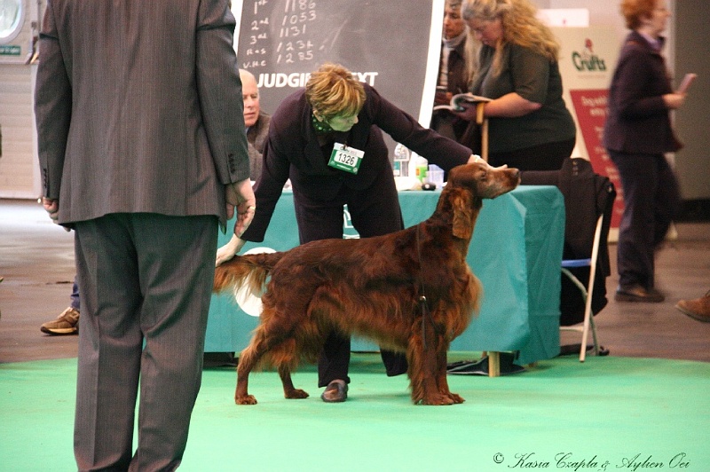 Crufts2011 835.jpg